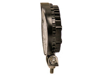 4.5 Inch Clear LED Flood Light with Black Housing