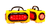 TM3 Pair of Individual Wireless Tow Lights